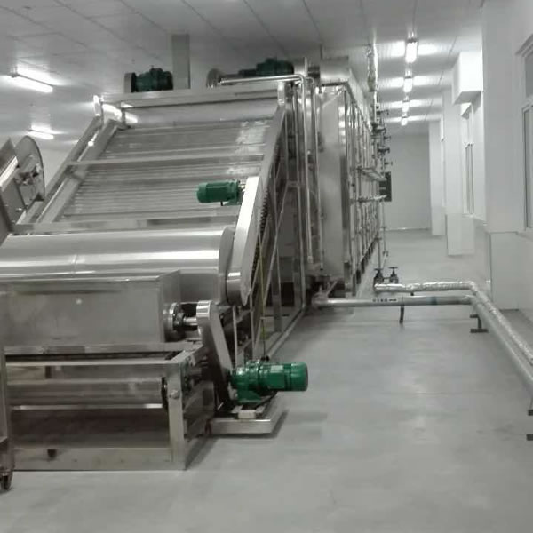  Fruit Chips Production Line 